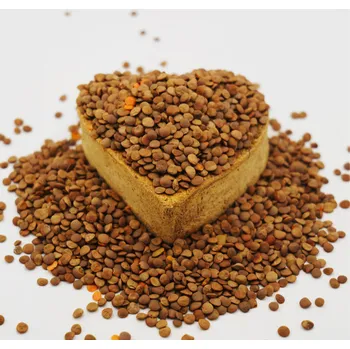 Příloha FITBOY Čočka červená neloupaná 1000g