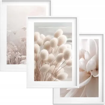 Obraz Plakáty v rámu Triptych Krémové Obrazy na zeď Květiny Ecru Dekorace