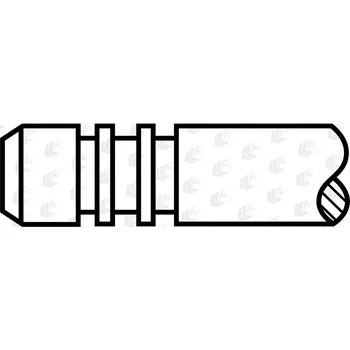 Ventil motoru Výfukový ventil AE V80019
