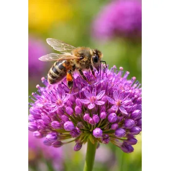 Semeno SEMO Směs pro včely 5g - série NEKTAR PÁRTY