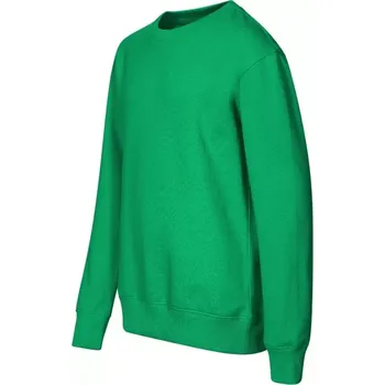 Dívčí oblečení Dětská mikina (trávově zelená) 122 cm/6 let