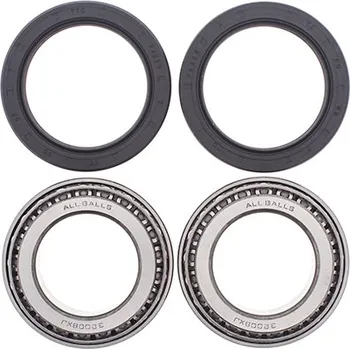 ALL BALLS ložiska zadního kola s těsnícími prvky CAN-AM DS.650 00-07 (ALL BALLS ložiska zadního kola s těsnícími prvky CAN-AM DS.650 00-07)