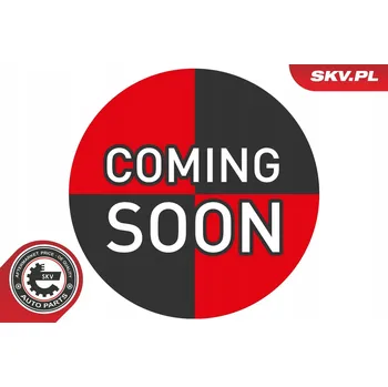 Čidlo automobilu Snímač v kole, systém kontroly tlaku v pneumatikách ESEN SKV 70SKV001