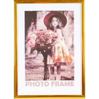 Rám na obraz FANDY Plastový rámeček Simple 2 30x40 4 zlatý