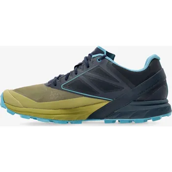 Pánská běžecká obuv Pánské trailové boty Dynafit Alpine - army/bluberry (45)