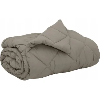 přikrývka Celoroční přikrývka Světle šedá 220 x 240 cm Mikrovlákno