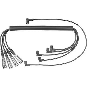 Zapalovací kabel Sada kabelů pro zapalování BorgWarner (BERU) ZEF463