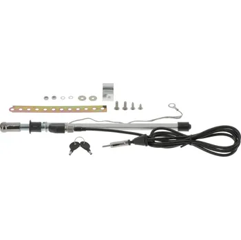 Autoanténa Anténa BorgWarner (BERU) A204