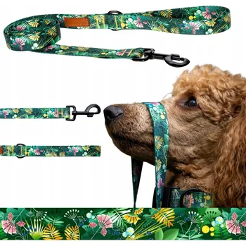 Vodítko pro psa Vodítko klasické Ukory popruh 1,5 m