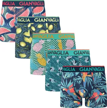 Boxerky 5PACK pánské boxerky Gianvaglia vícebarevné (GVG-5072) XL Možnost vrácení zboží ZDARMA do 120 dnů!