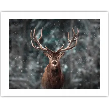 Obraz Obraz plakát na zeď bez rámu 50x40 zvířata foto do obýváku/ložnice (ložnice)