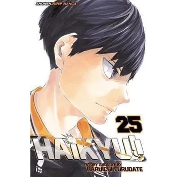 Beletrie pro dospělé Haikyu!! 25