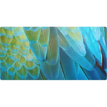 Obraz Vinylová ochranná podložka s moderním vzorem Ptačí pera zblízka 90x45 cm