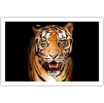 Obraz Obraz plakát do obýváku ložnice 91x61 zvířata foto na zeď bez rámu