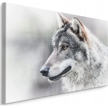 Obraz Obraz do Ložnice PORTRET Vlka Zvíře 3D 30x20