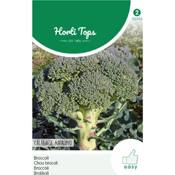 Semeno Semena - BROKOLICE ´CALABRESE NATALINO´