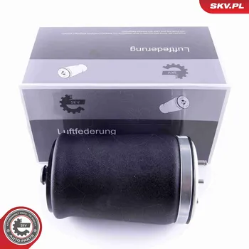Vzduchová pružina, podvozek ESEN SKV 58SKV003