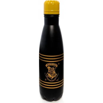 Obraz Láhev Harry Potter 540 ml