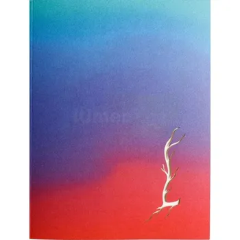 Umění Martin Salajka: Nebula - Kristýna Jirátová, Martin Salajka