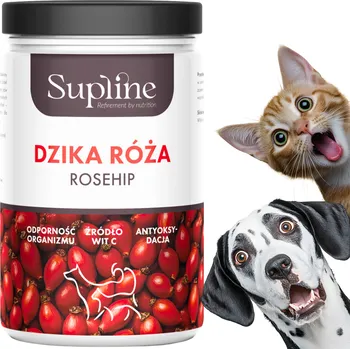 Obraz ŠÍPKOVÁ RŮŽE 150g