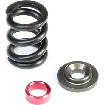 Team Losi Racing TLR sada pružin spojky HD, SHDS