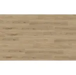 1707 Aquinoah Nature