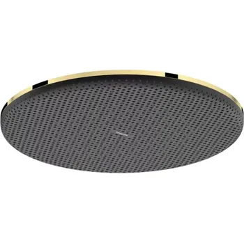 Sprchová hlavice Hansgrohe Raindance Alive S - Hlavová sprcha, průměr 30 cm, EcoSmart+, leštěný vzhled zlata 24523990