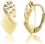 Náušnice SVLE2539XJ6GO00