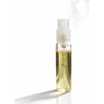 Vůně do auta Osvěžovač pro obnovu vůně – 5 ml Vůně: Lemon Ice