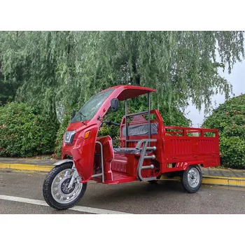 Elektrotříkolka Zethos tříkolka T-08 Cabin 1500W