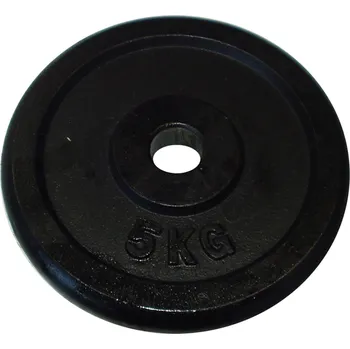 Litinový kotouč - 30mm 5kg