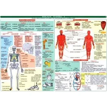 Tabulka - biologie člověka