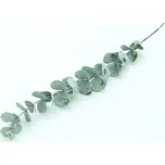 HW Logistic s.r.o. Umělá větvička…