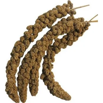 Krmivo pro ptáka COBBYS PET ZUZU Senegal Millet 50g senegálské proso v klasech