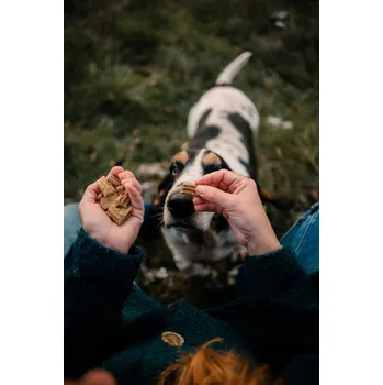 Pamlsek pro psa Hypoalergenní pamlsky pro psy s alergiemi (bez alergenů) Hmotnost: 50 g