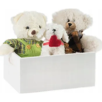 Úložný box Dřevěná bedýnka Pinus 37x28x17,5 cm bílá