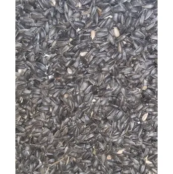 Pro ptáka Slunečnice černá 15kg