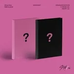 Maxident Stray Kids CD