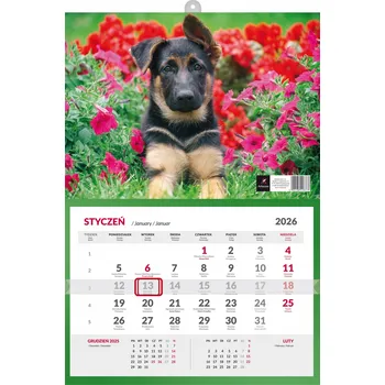 Kalendář Kalendář nástěnný třídílný/jednodílný 2026 s náhledem na 3 měsíce