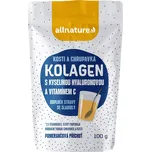 Kolagen s kyselinou hyaluronovou a vitamínem C 100 g
