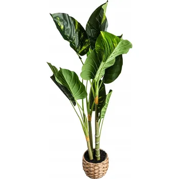 umělá květina UMĚLÁ ROSTLINA /B2B B2B/ Diefenbachie HOMLA
