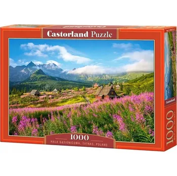Puzzle Castorland 1000 Piece Puzzle , Hala Gąsieniców, Tatry