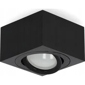Stropní svítidlo Kobi černé, přisazené, 35 W, s nastavitelnou hlavou