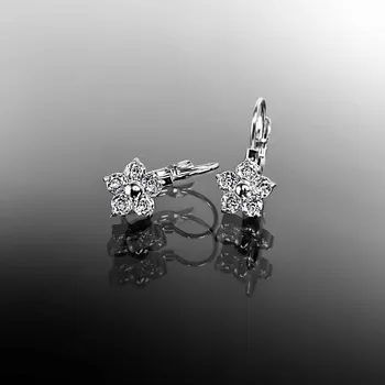 Náušnice Ocelové náušnice zabalené v dárkové krabičce č. 1223