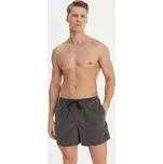 Quiksilver Plavecké šortky Everyday Surfwash EQYJV04155 Šedá Regular Fit M
