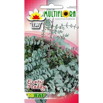 Semeno Semena Eukalyptus Eucalyptus globulus 10 semen