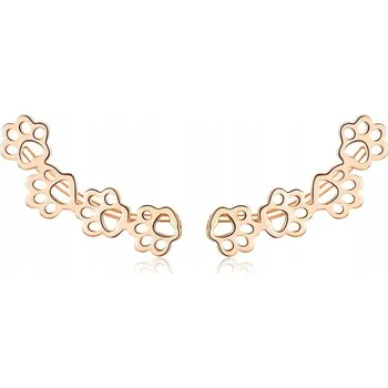 Náušnice Stříbrné náušnice S925 pozlacené nausnice s motivy tlapek