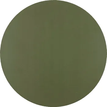 Nástěnné svítidlo Nástěnné svítidlo TK-Lighting zelené, volné konce vodičů, 8 W