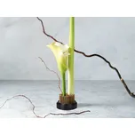 Ikebana aranžovací napichovací ježek na…