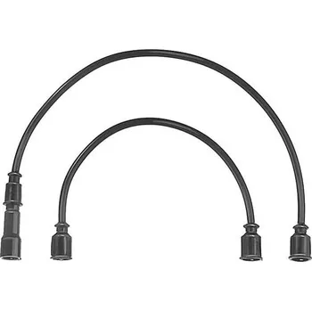Zapalovací kabel Sada kabelů pro zapalování BorgWarner (BERU) ZEF363